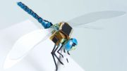 al sahawat times | dragonfl-eye