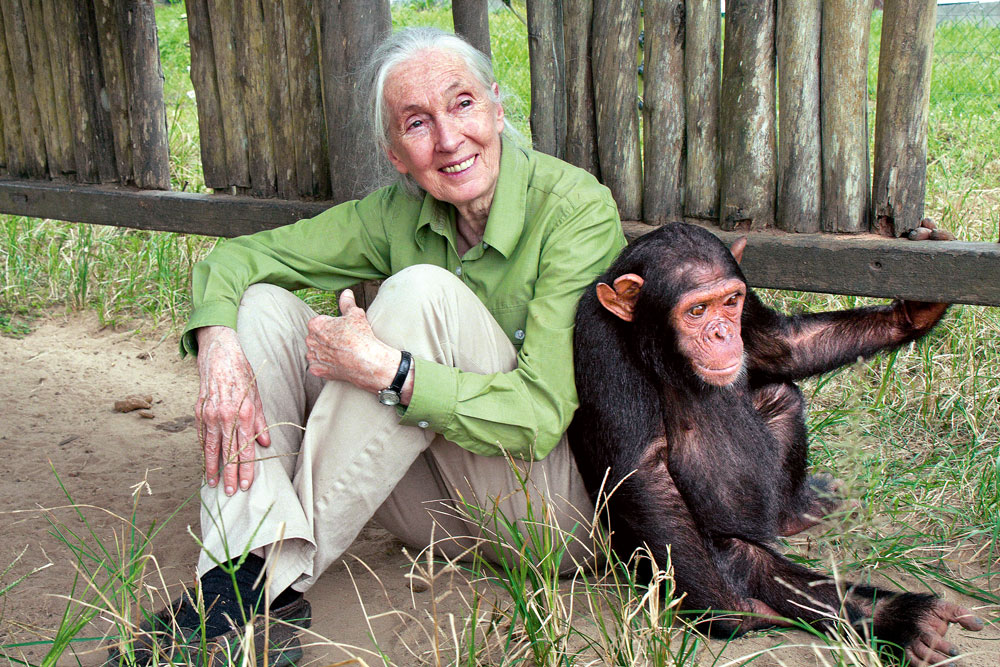 Dr Jane Goodall addresses mass extinction and environmental issues