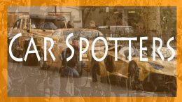 al sahawat times cat spotters