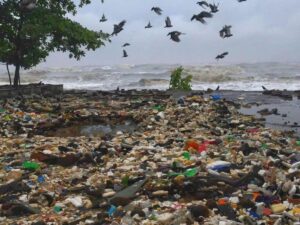 cyclone tauktae rubbish washes up on beaches in india 2021 al sahawat times