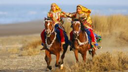 Al-Sahawat Times | Omani Horses | Oman Equestrian